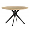 MINERVA NEW table, metal, wood, 120 cms in diameter